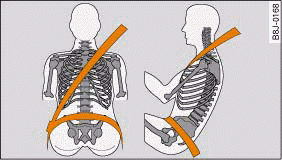 Adjusting shoulder and lap belt