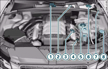 Typical locations of fluid containers, engine oil dipstick and engine oil filler