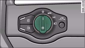 Fig. 50 Dashboard: Light switch