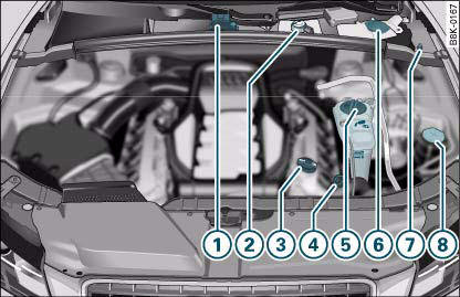 Fig. 212 Locations of fluid containers, engine oil dipstick and engine oil