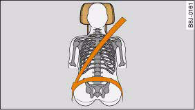 Fig. 164 Correctly adjusted head restraint (seen from the front)