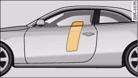 Fig. 181 Side airbags in inflated condition