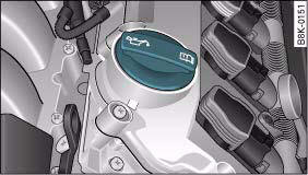 Fig. 214 Engine compartment: Engine oil filler cap