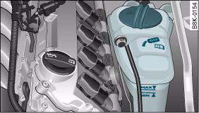 Fig. 215 Engine compartment: Markings on radiator expansion tank