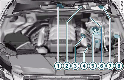 Typical locations of fluid containers, engine oil dipstick and